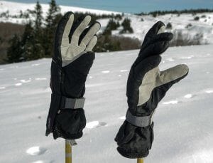 Ski Gloves